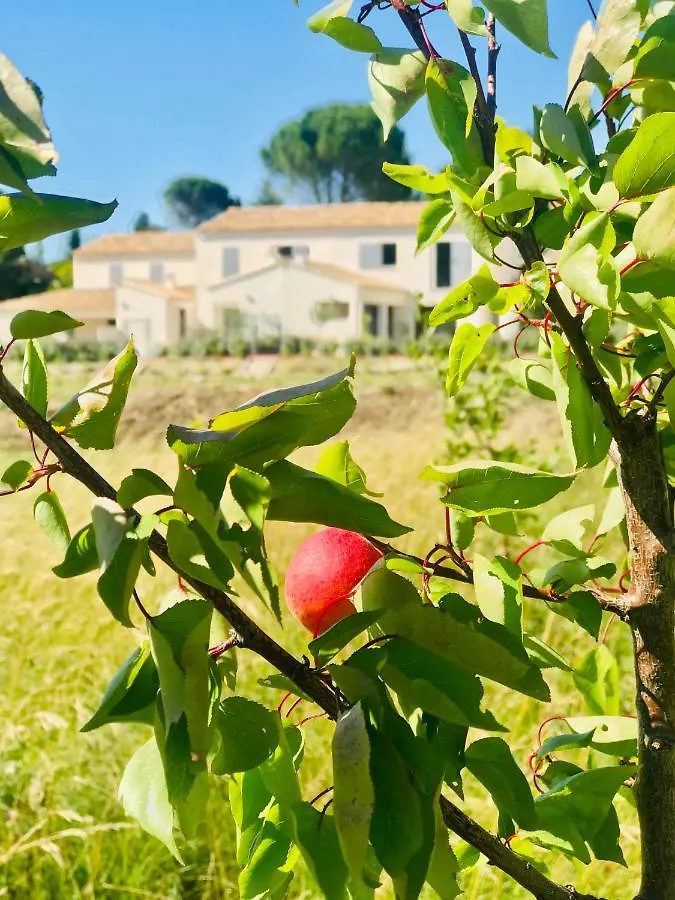 Villa La Maison D Ame - For The Perfect Stay At The Mont Ventoux Malaucene